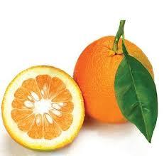 Narenj - Saurer Orangen - Persienmarkt